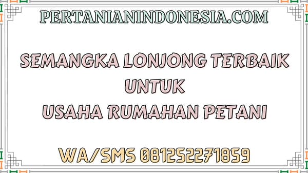 Semangka Lonjong Terbaik Untuk Usaha Rumahan Petani